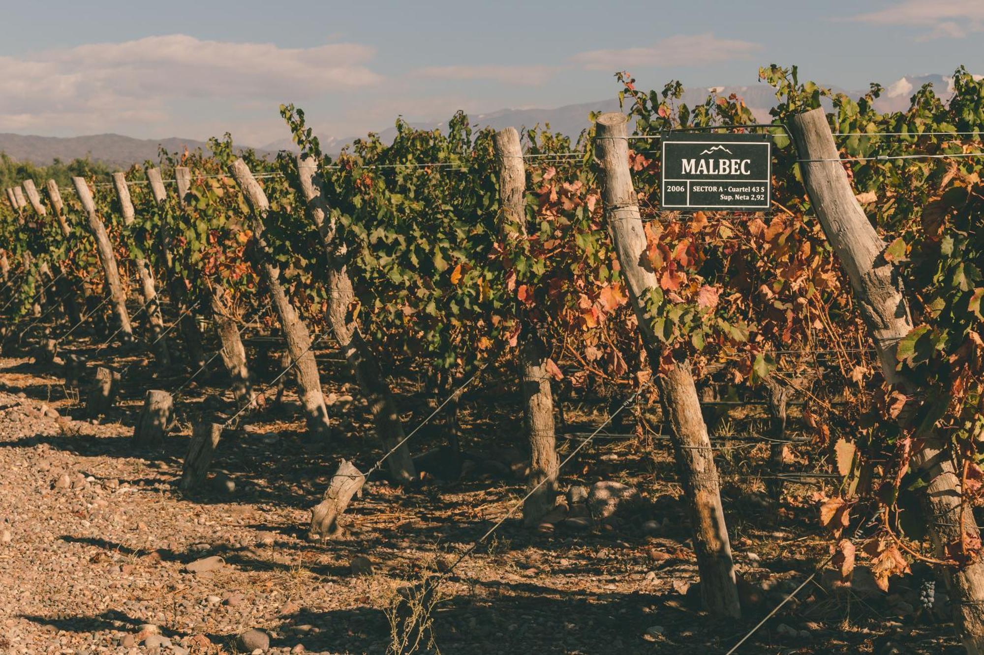 Rosell Boher Winery Lodge & Spa Agrelo Exterior foto
