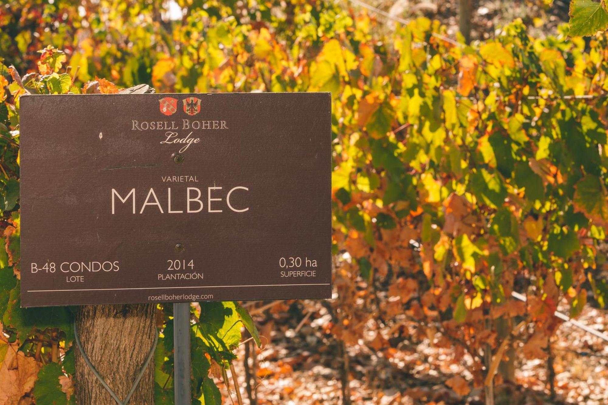 Rosell Boher Winery Lodge & Spa Agrelo Exterior foto